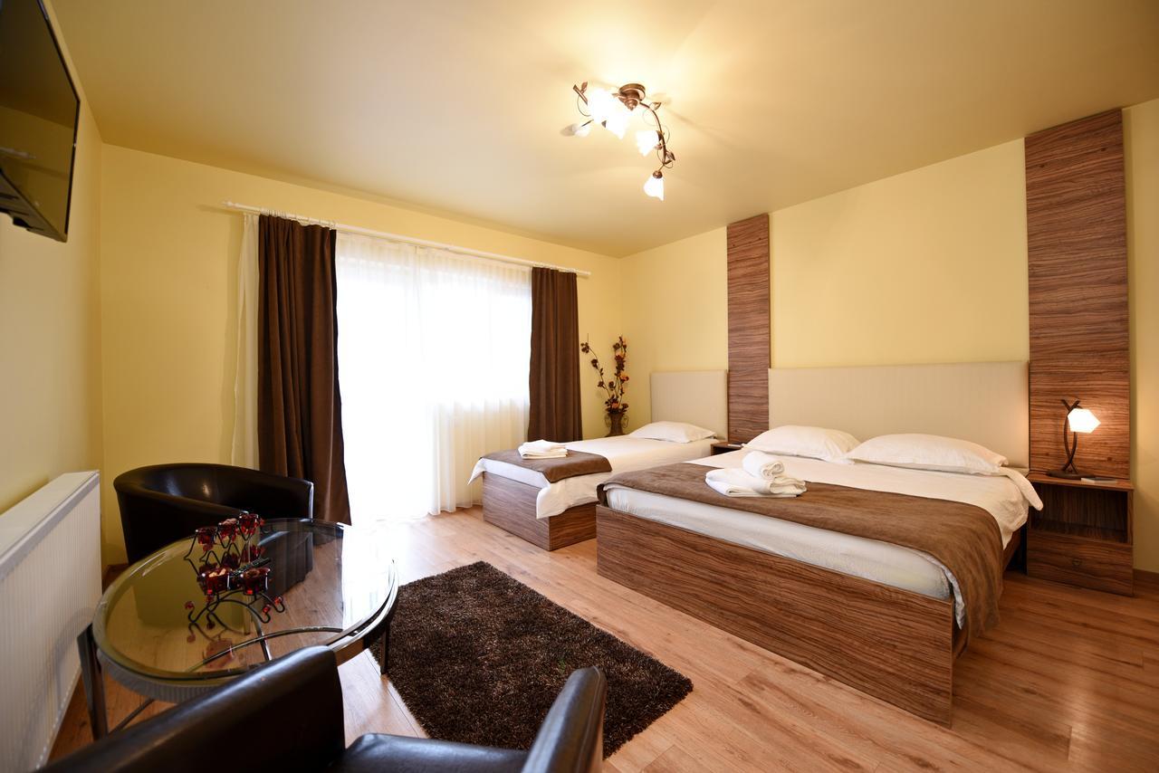 Vila Nicole Hotel Haţeg Esterno foto