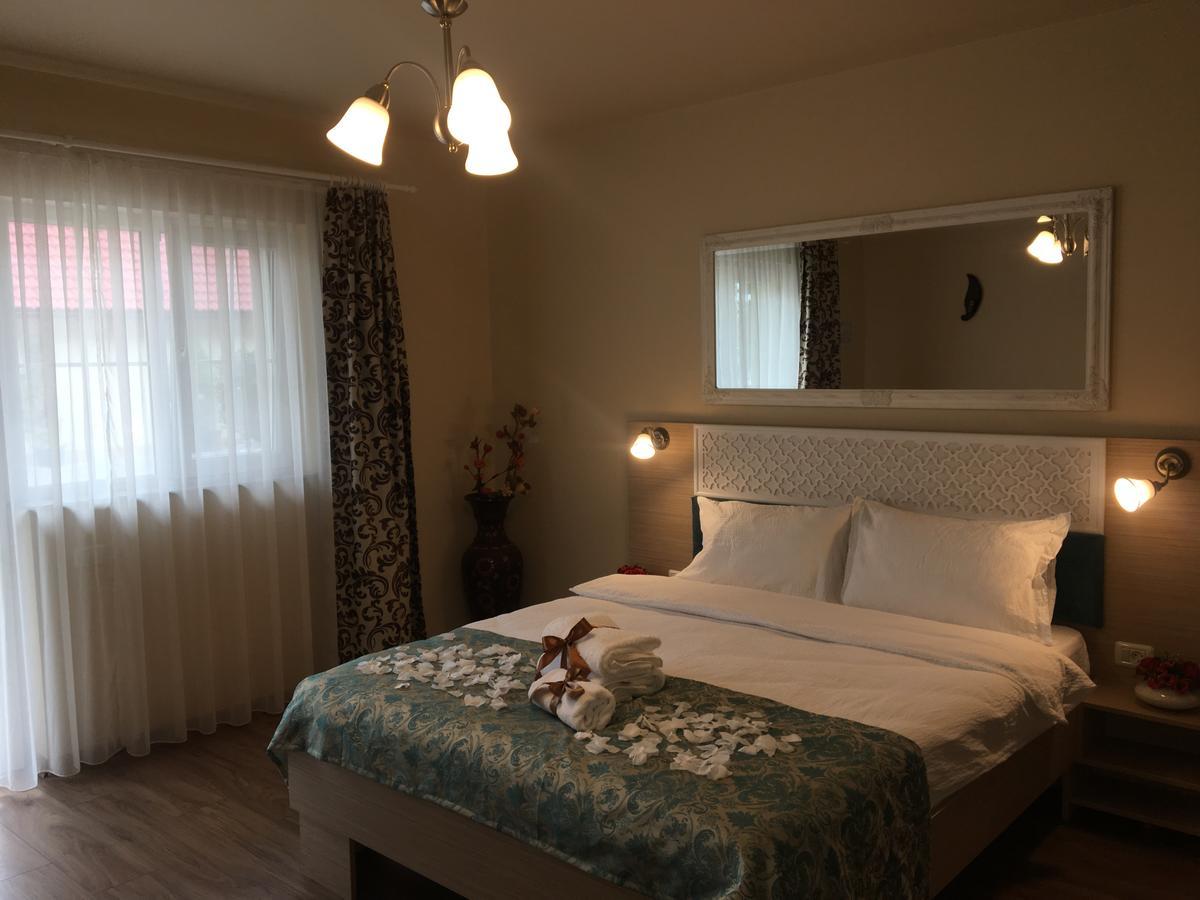 Vila Nicole Hotel Haţeg Esterno foto