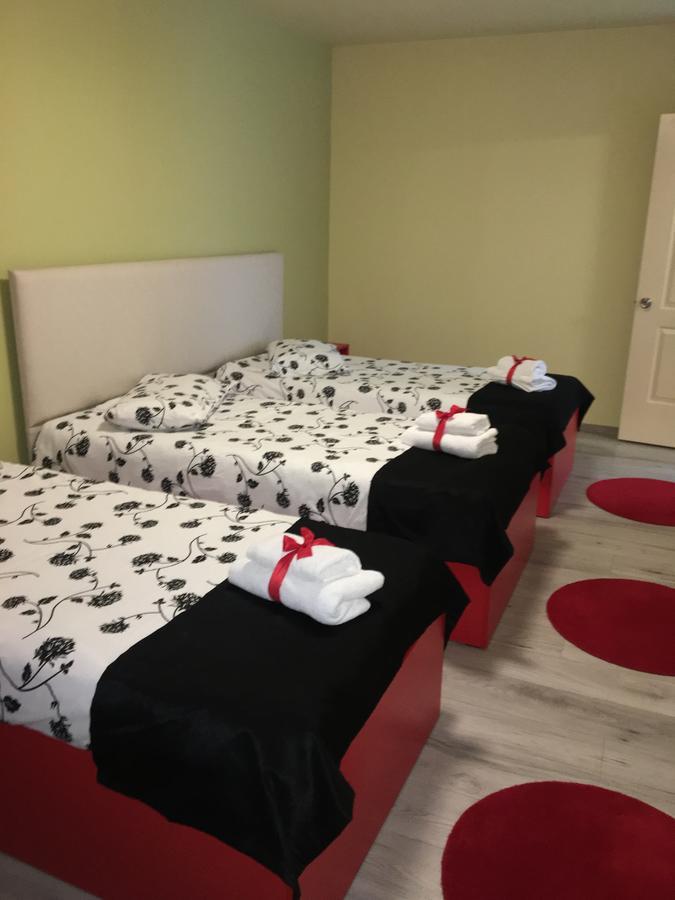 Vila Nicole Hotel Haţeg Esterno foto